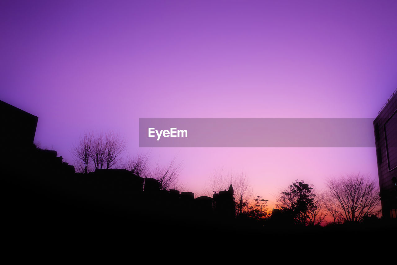 SILHOUETTE OF TREES AGAINST SKY DURING SUNSET