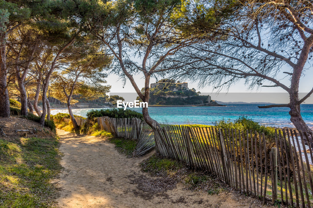 tree, plant, water, nature, beauty in nature, sky, land, scenics - nature, tranquility, sea, no people, beach, tranquil scene, footpath, day, fence, outdoors, travel destinations, sunlight, branch, idyllic, autumn, travel, growth, landscape, the way forward, environment, leaf, tourism, architecture, railing, non-urban scene, holiday, vacation, trip, estate, transportation