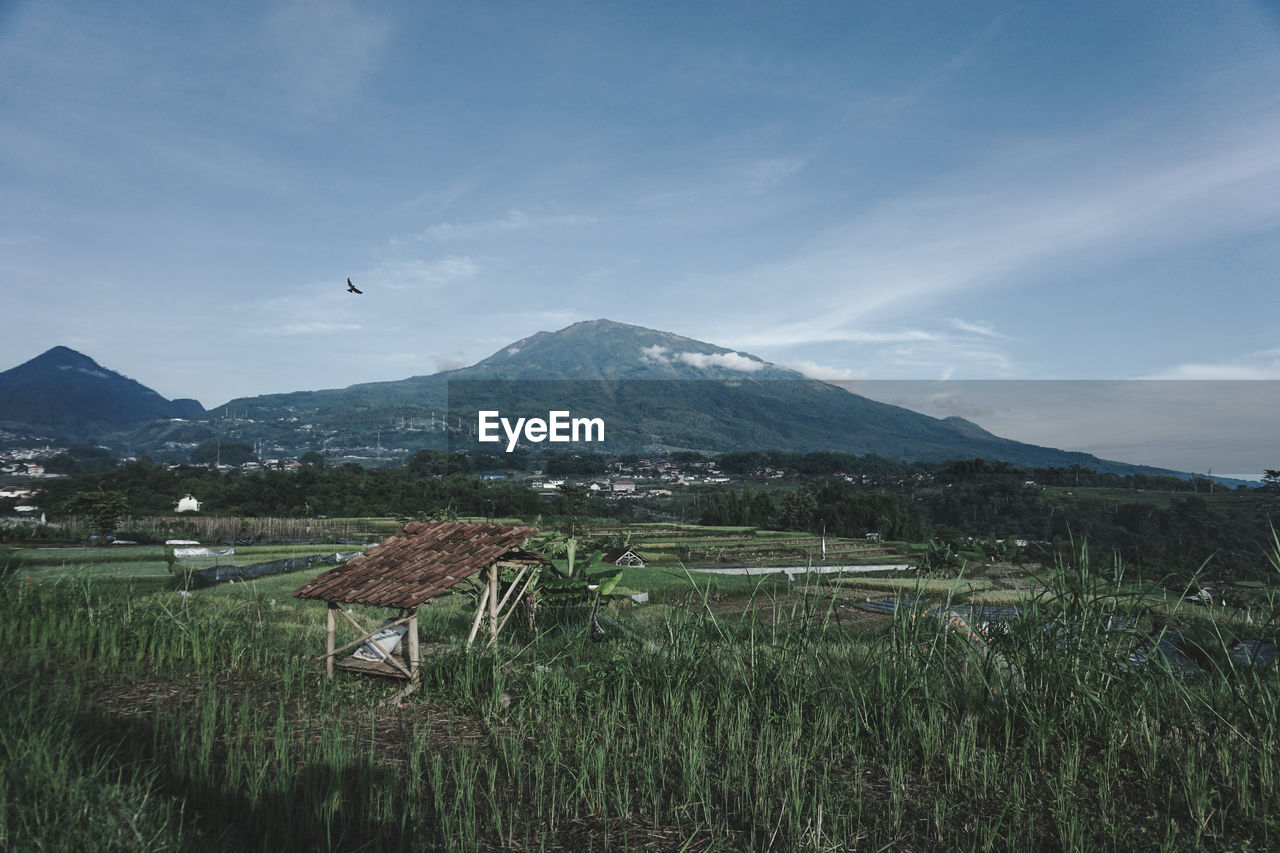 Mount lawu with blue skies and small birds that fly, there is a small hut