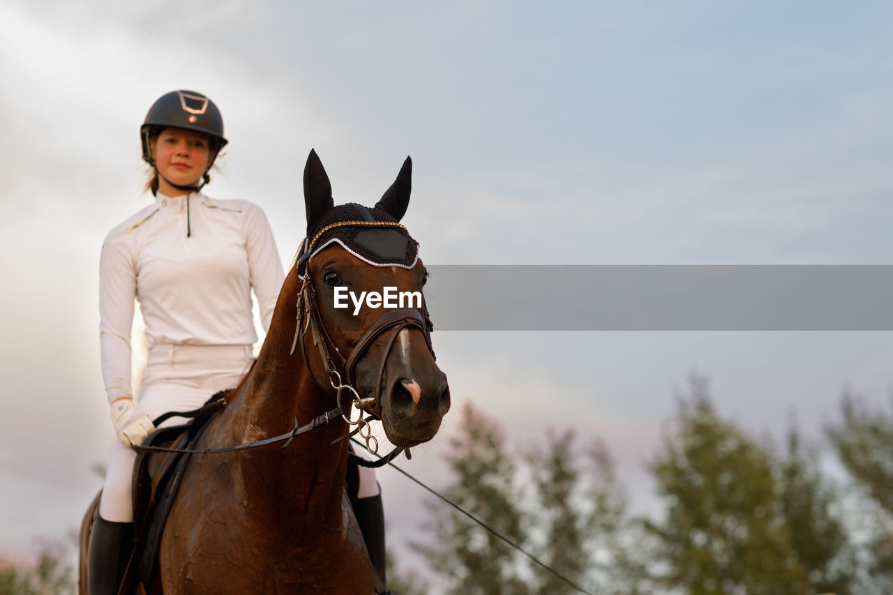 portrait of horse standing against sky