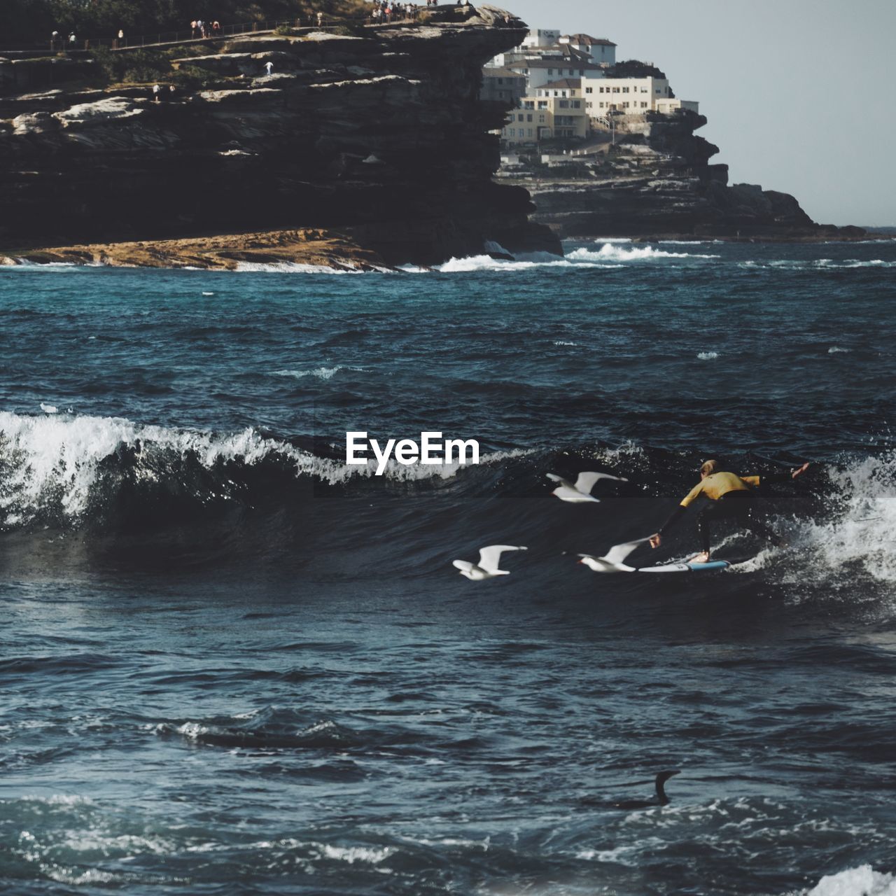 Shirtless man surfing by seagulls in sea