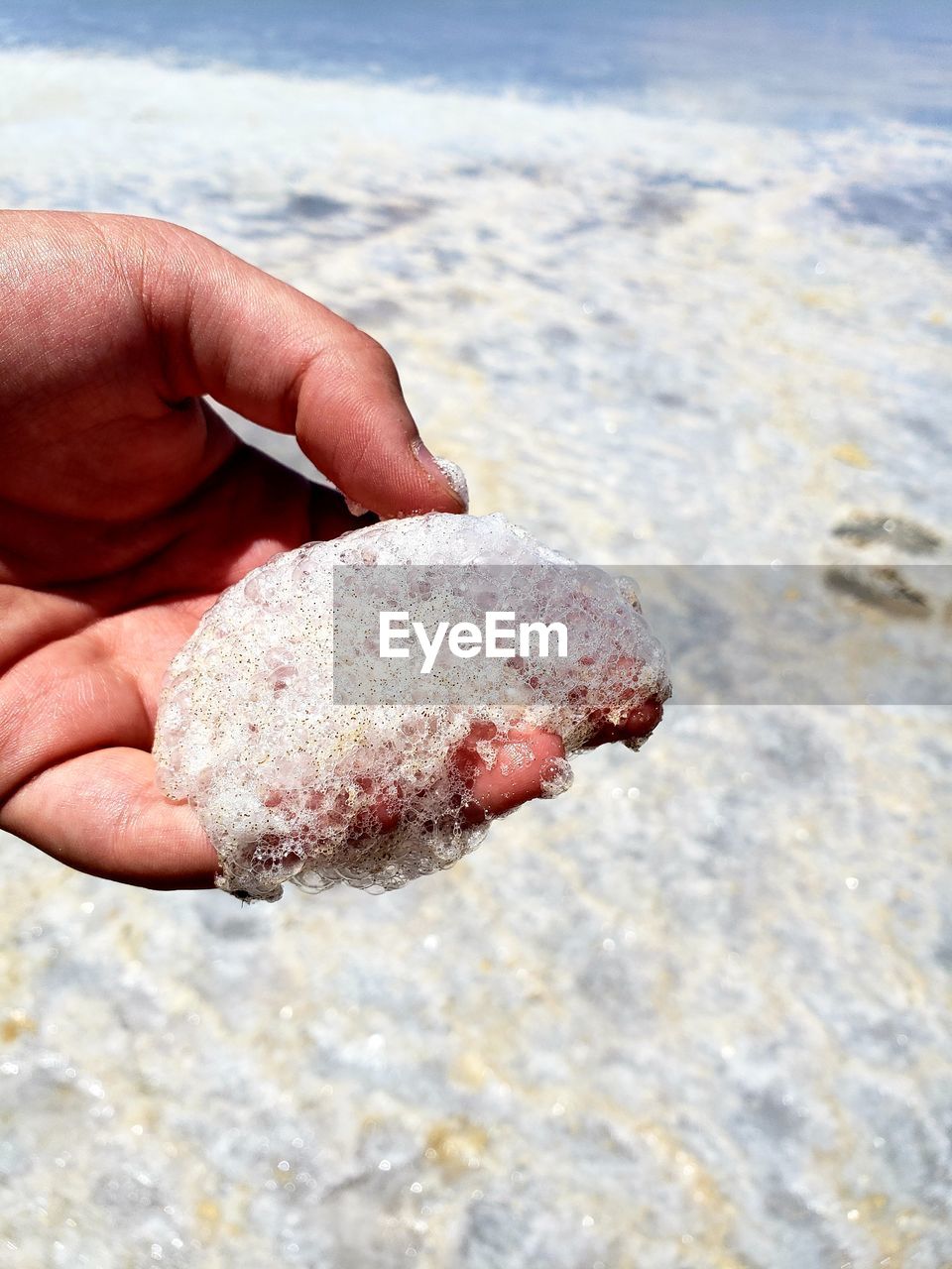 CLOSE-UP OF PERSON HAND HOLDING SEA SHORE