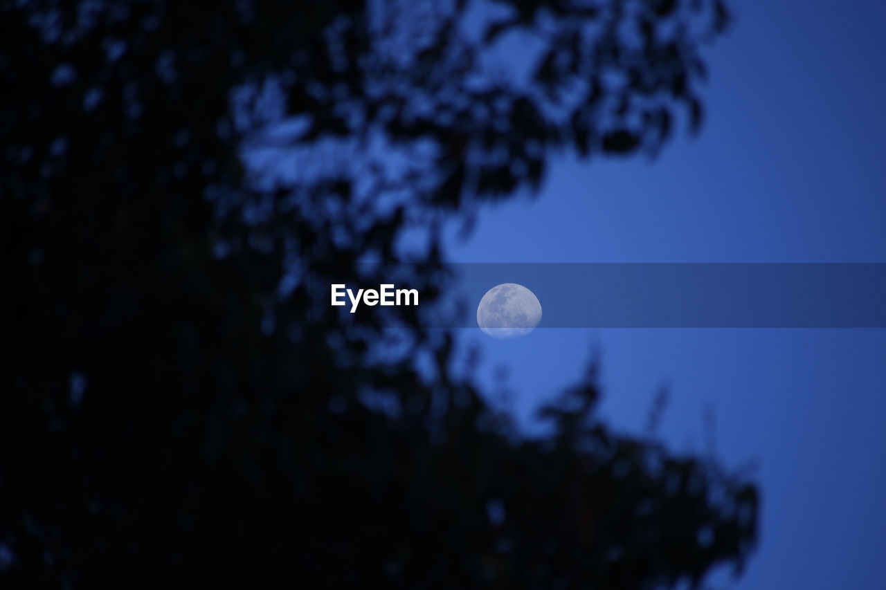 LOW ANGLE VIEW OF MOON AT NIGHT