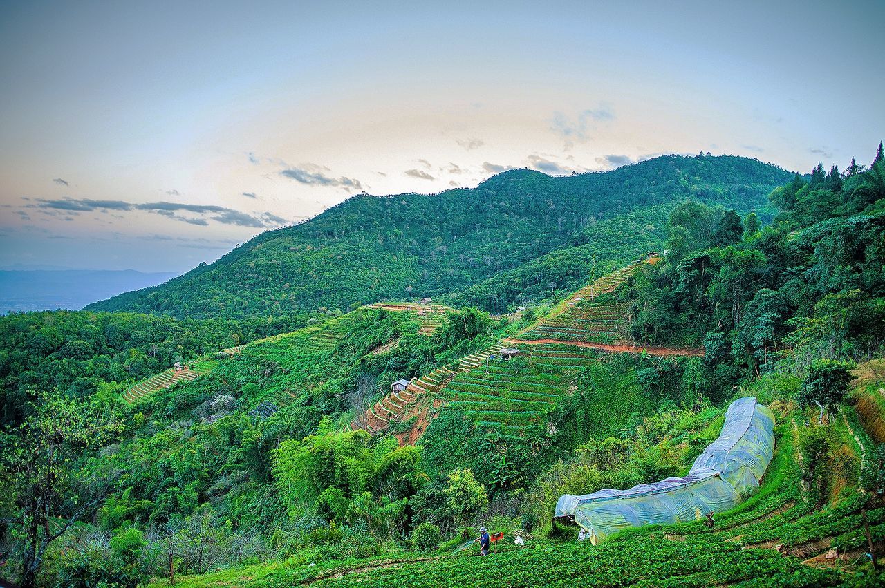 High angle view of landscape