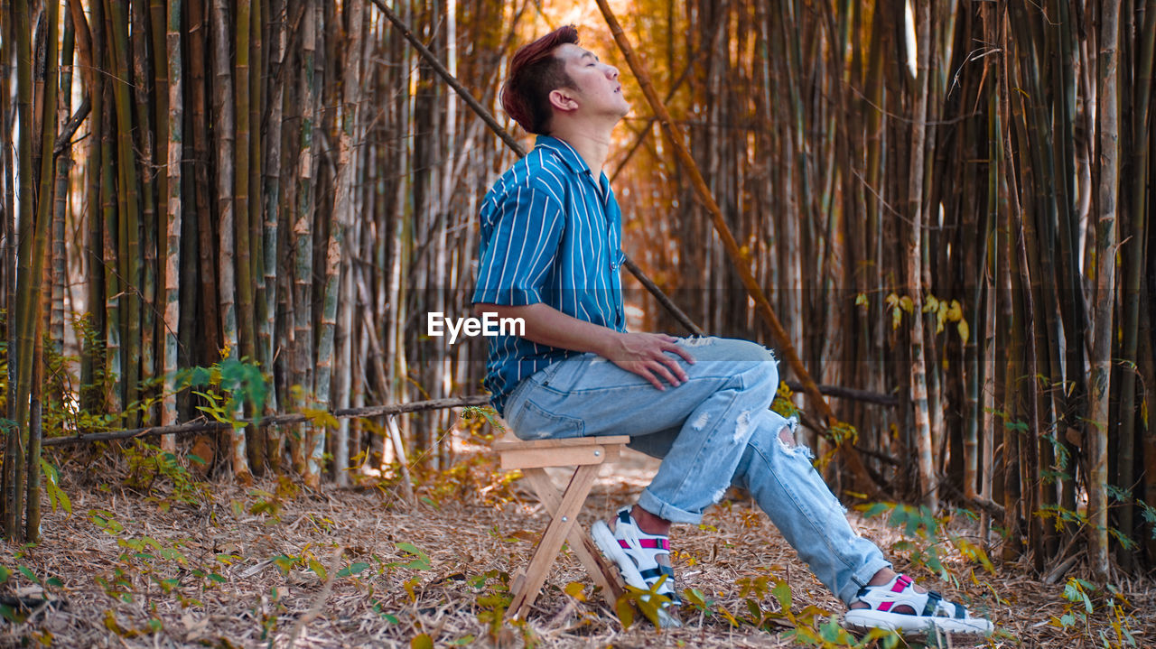 Side view of man sitting on stool in forest