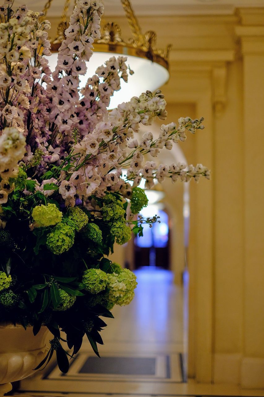 CLOSE-UP OF ILLUMINATED FLOWER HANGING ON WALL IN ROOM