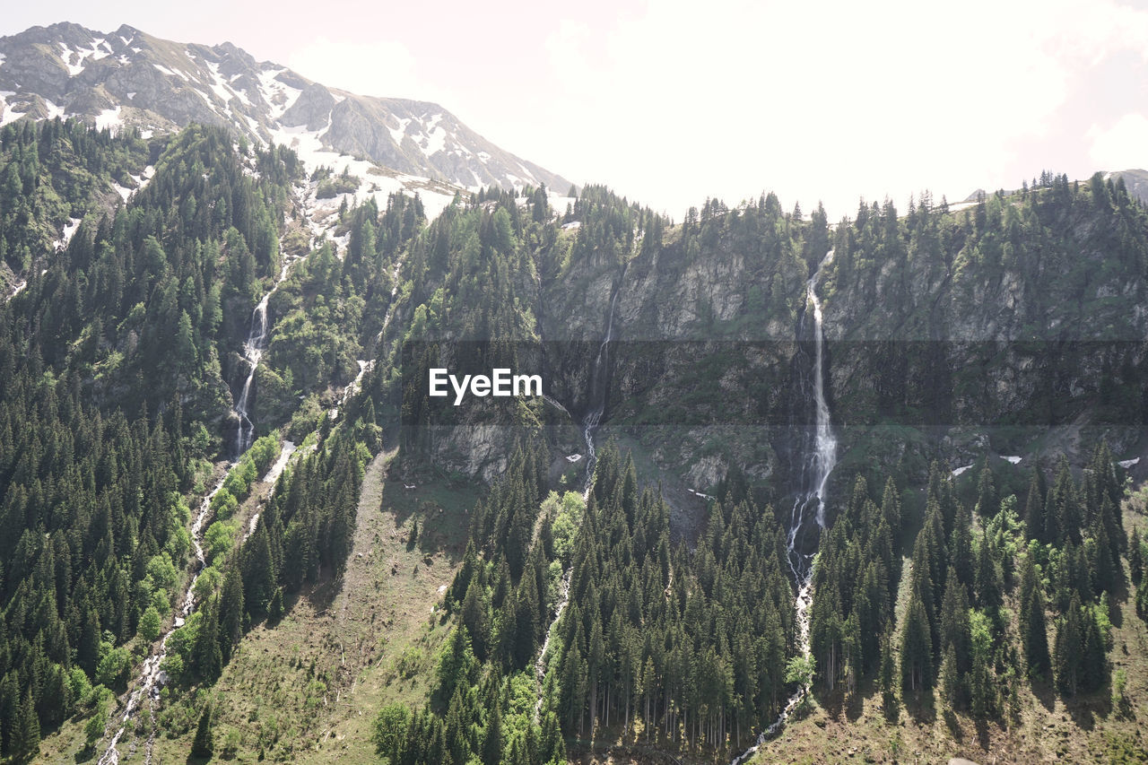 Panoramic view of trees and mountains against sky