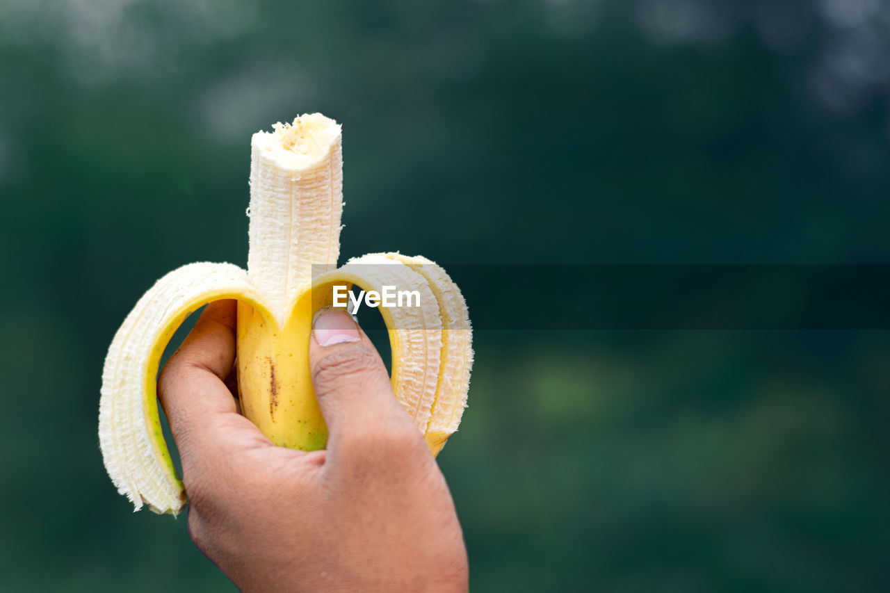 CROPPED IMAGE OF PERSON HOLDING APPLE