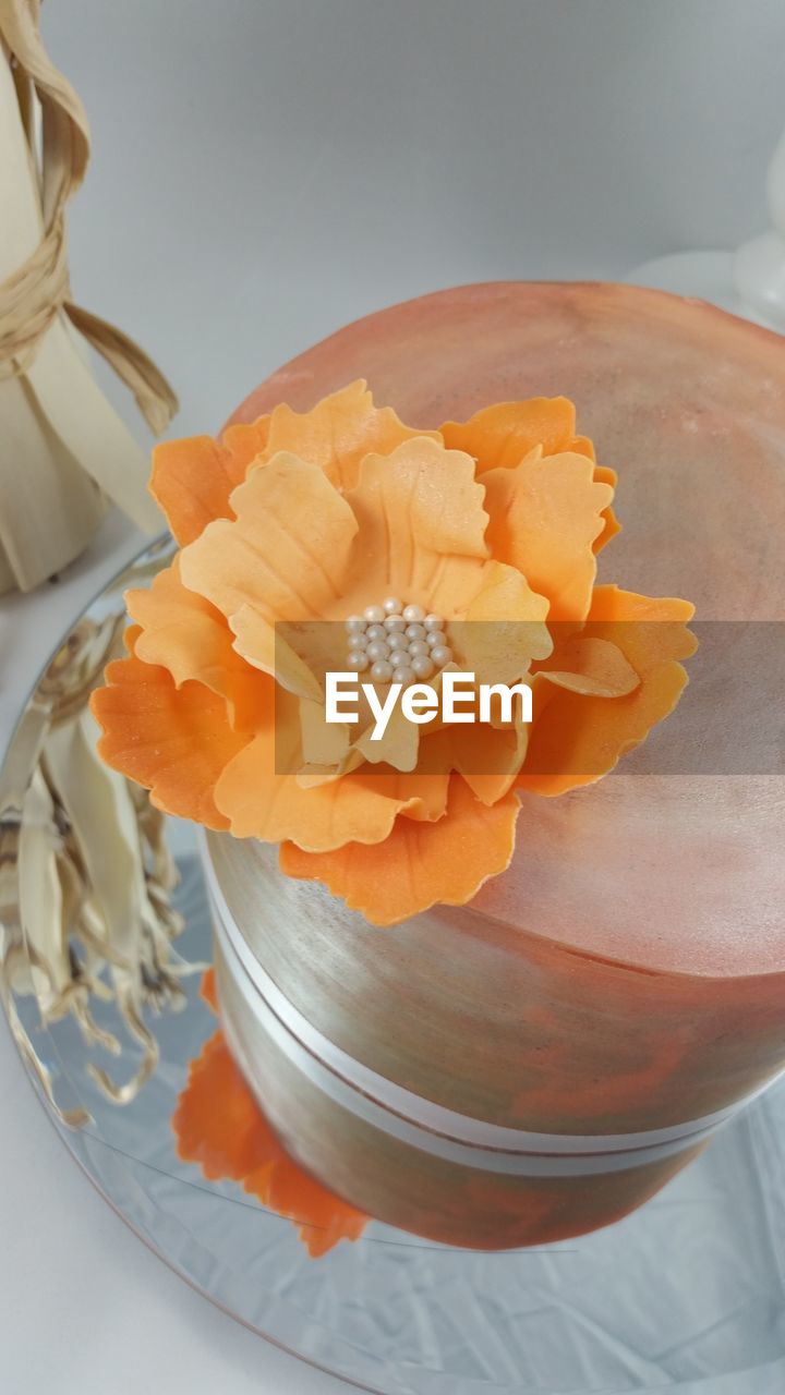 Close-up of orange flowers