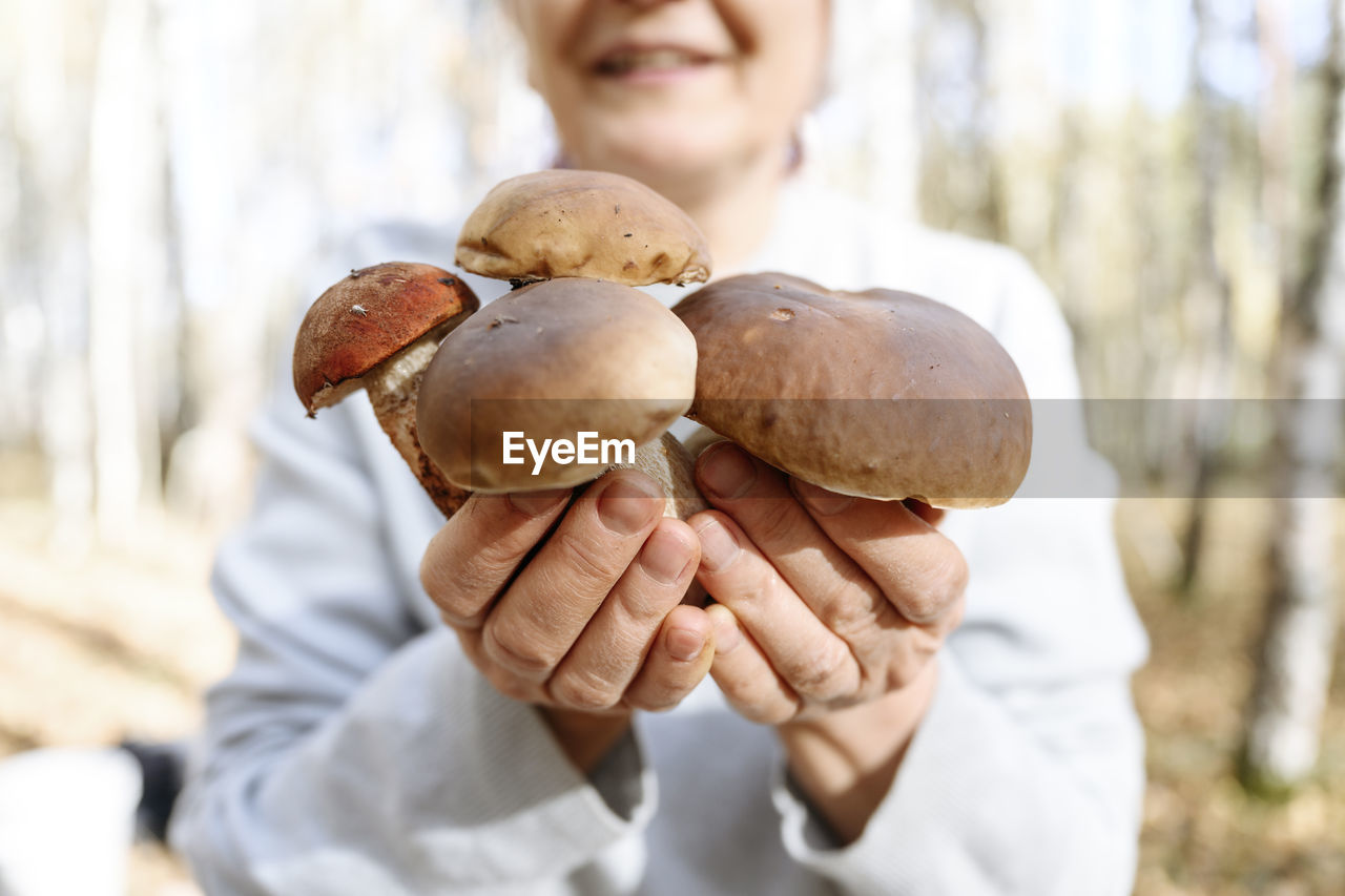 Hands of senior woman showing porcini mushrooms