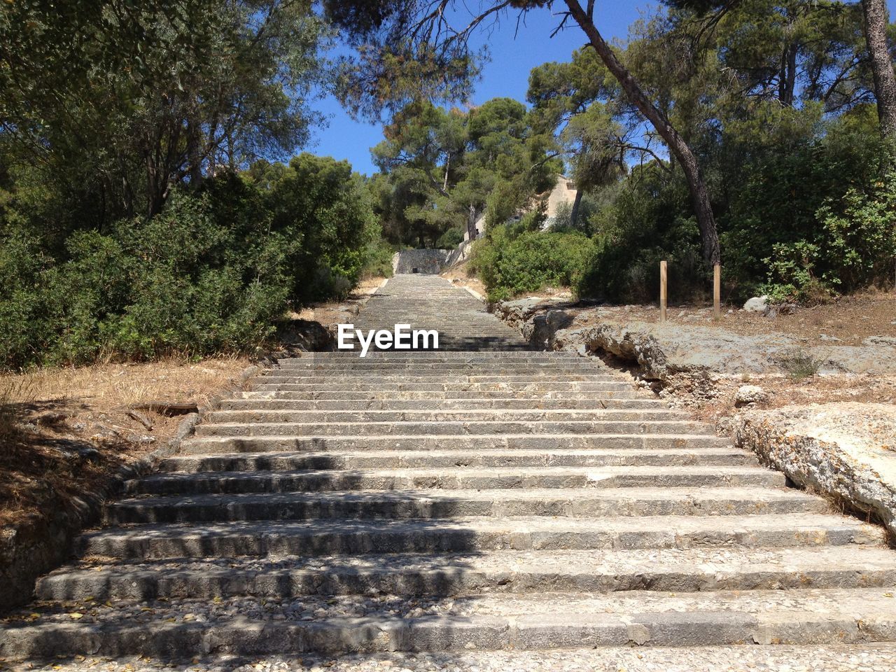 STAIRCASE LEADING TOWARDS FOREST