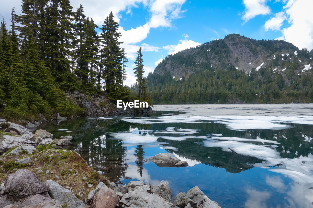 Scenic view of lake by trees against sky