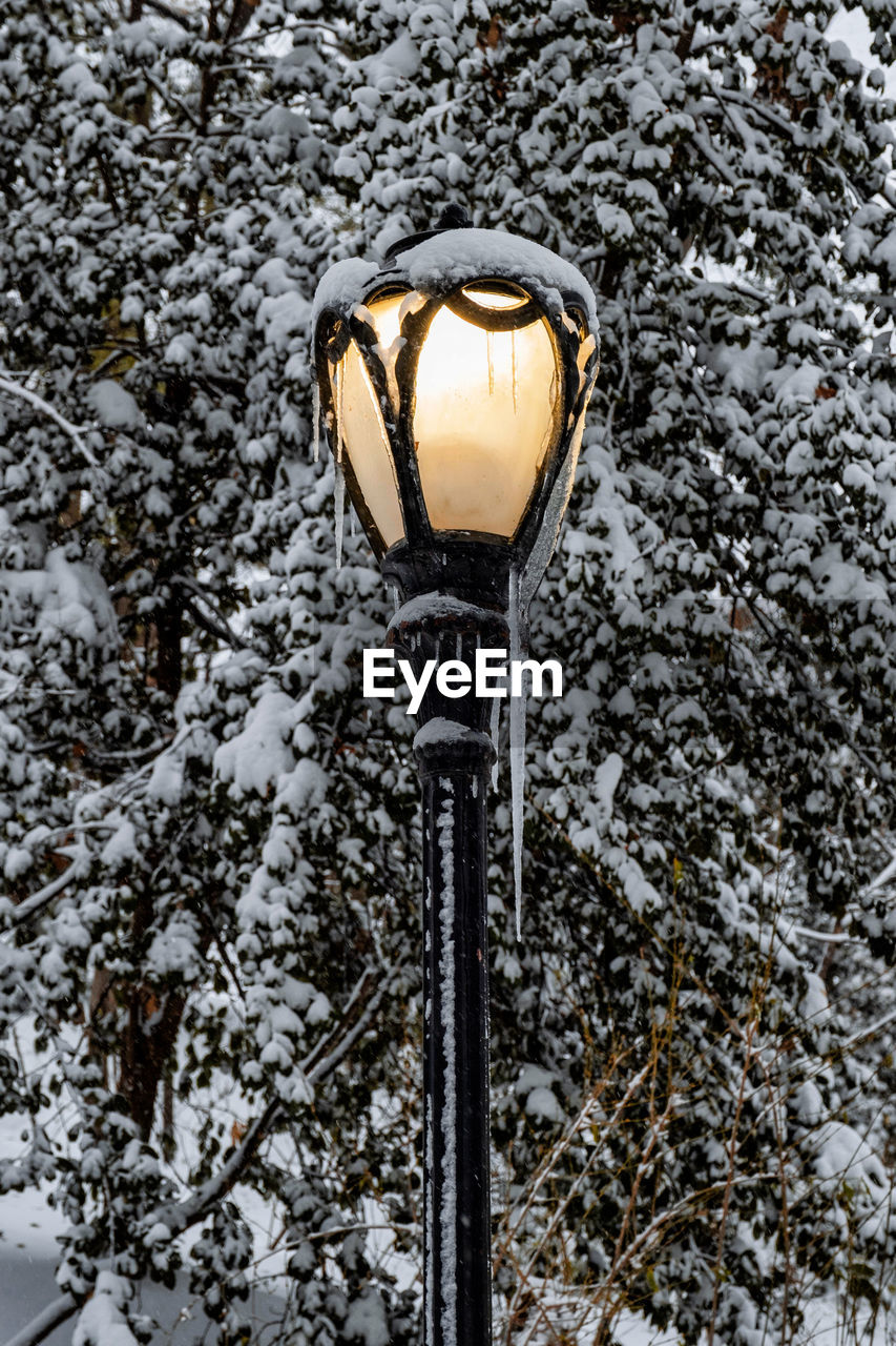 LOW ANGLE VIEW OF STREET LIGHT ON SNOW COVERED TREE