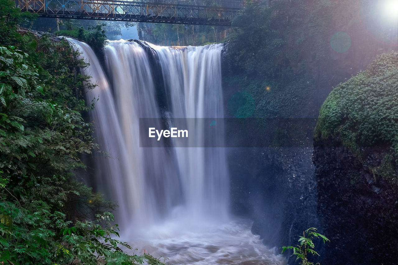 Scenic view of waterfall in forest
