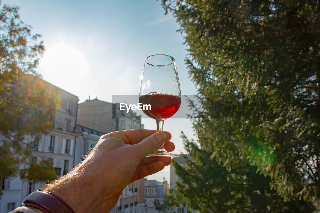 Cropped hand holding red wine against sky during sunny day