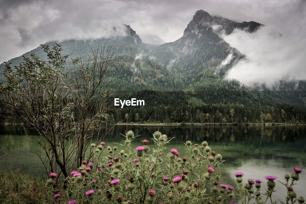 Scenic view of lake and mountains against sky