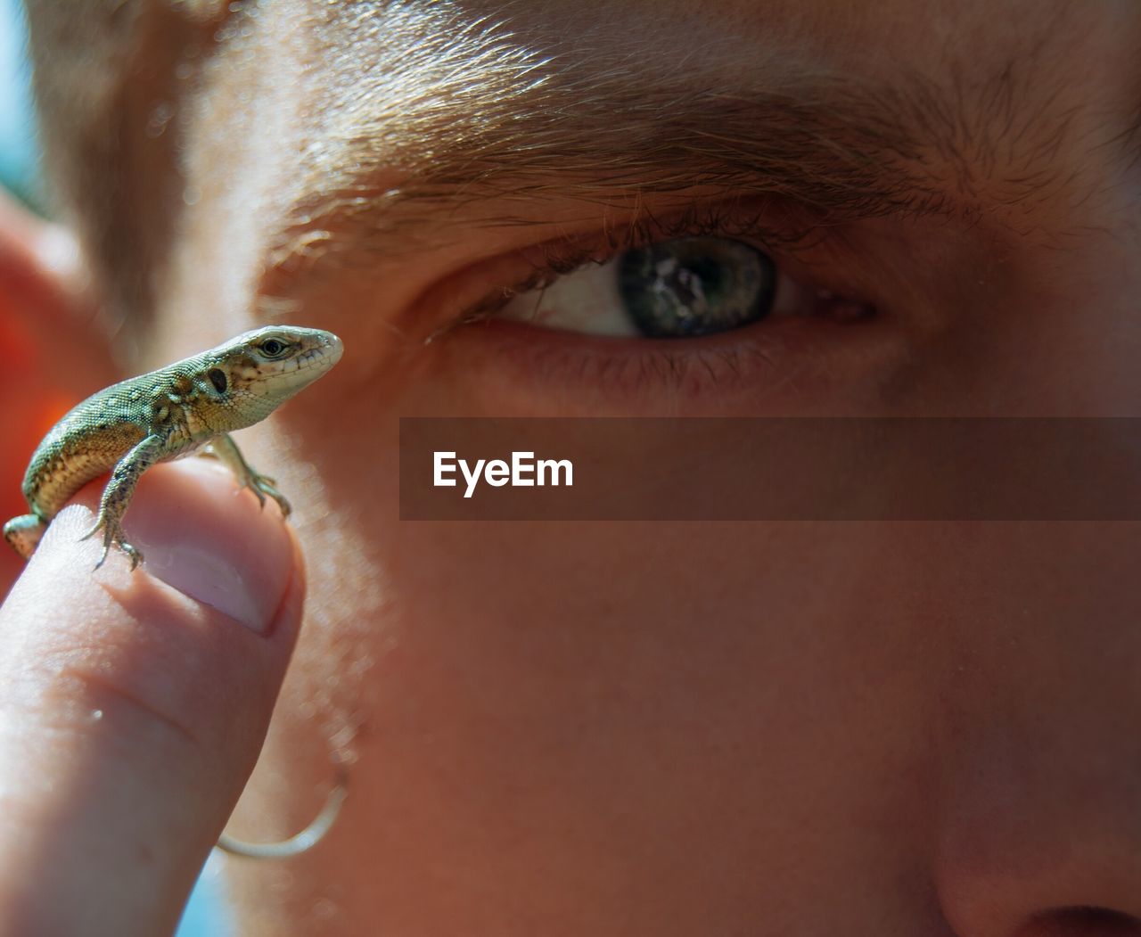 Close-up man holding lizard