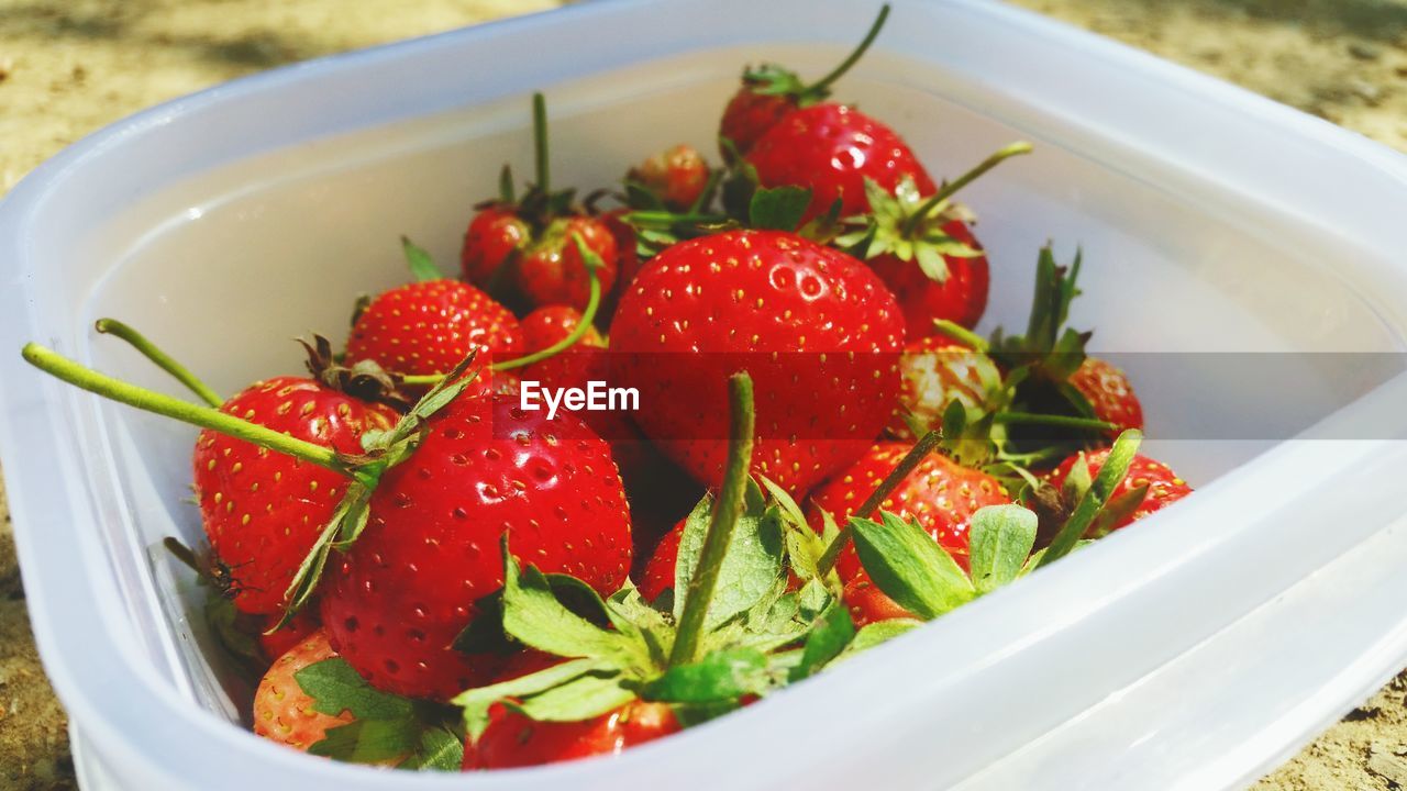 CLOSE-UP OF FRUIT SALAD