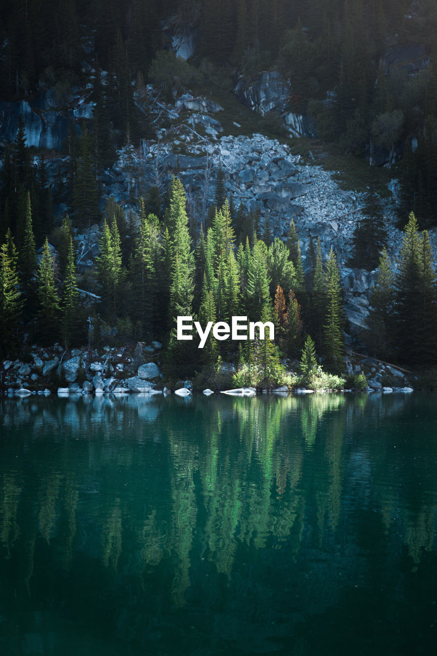 Scenic view of lake by trees on mountain