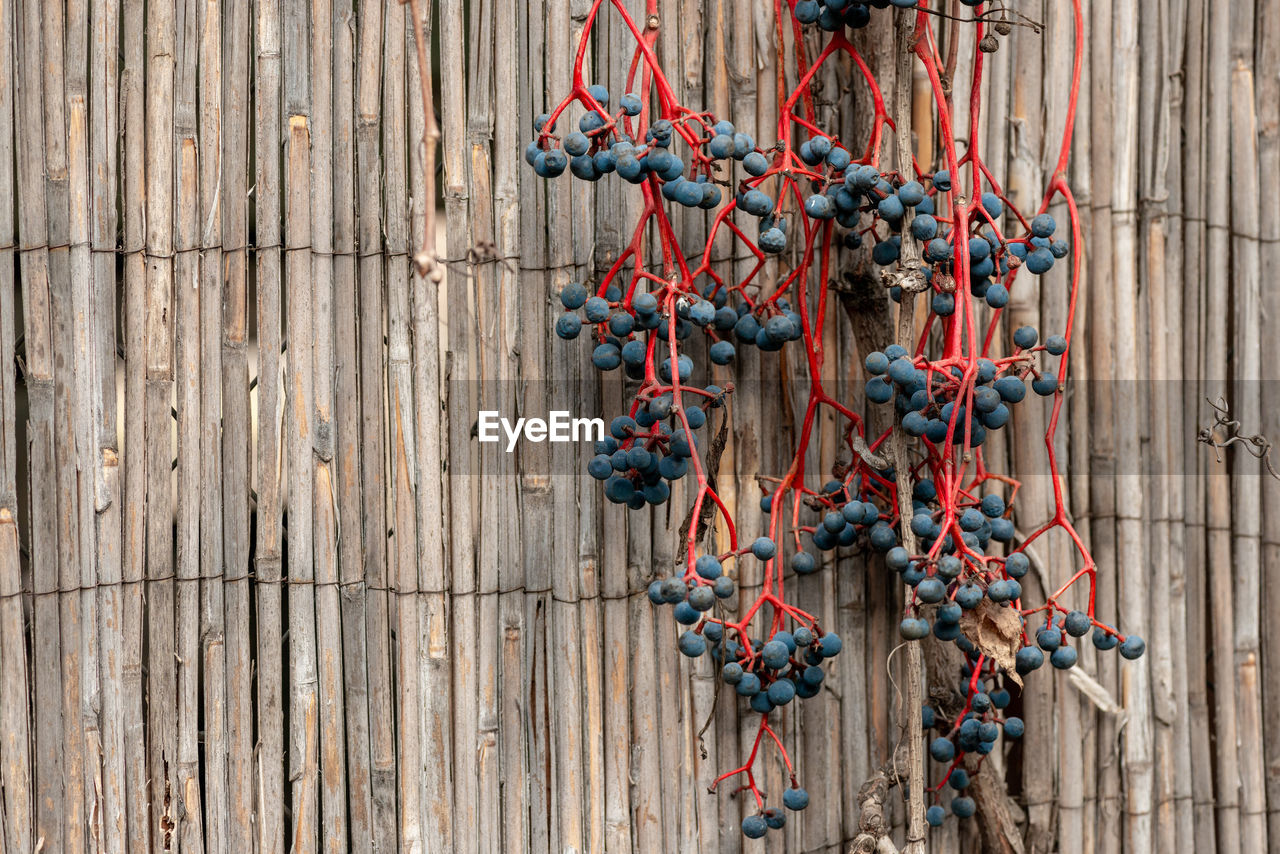 wood, no people, art, day, hanging, iron, outdoors, wall - building feature, large group of objects, nature, architecture, red, close-up, abundance