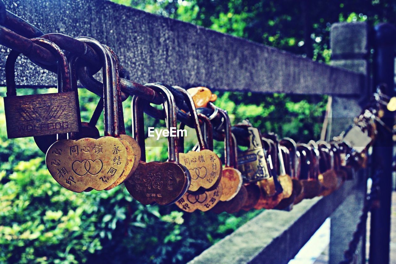 Close-up of padlocks hanging on wooden railing against blurred green background