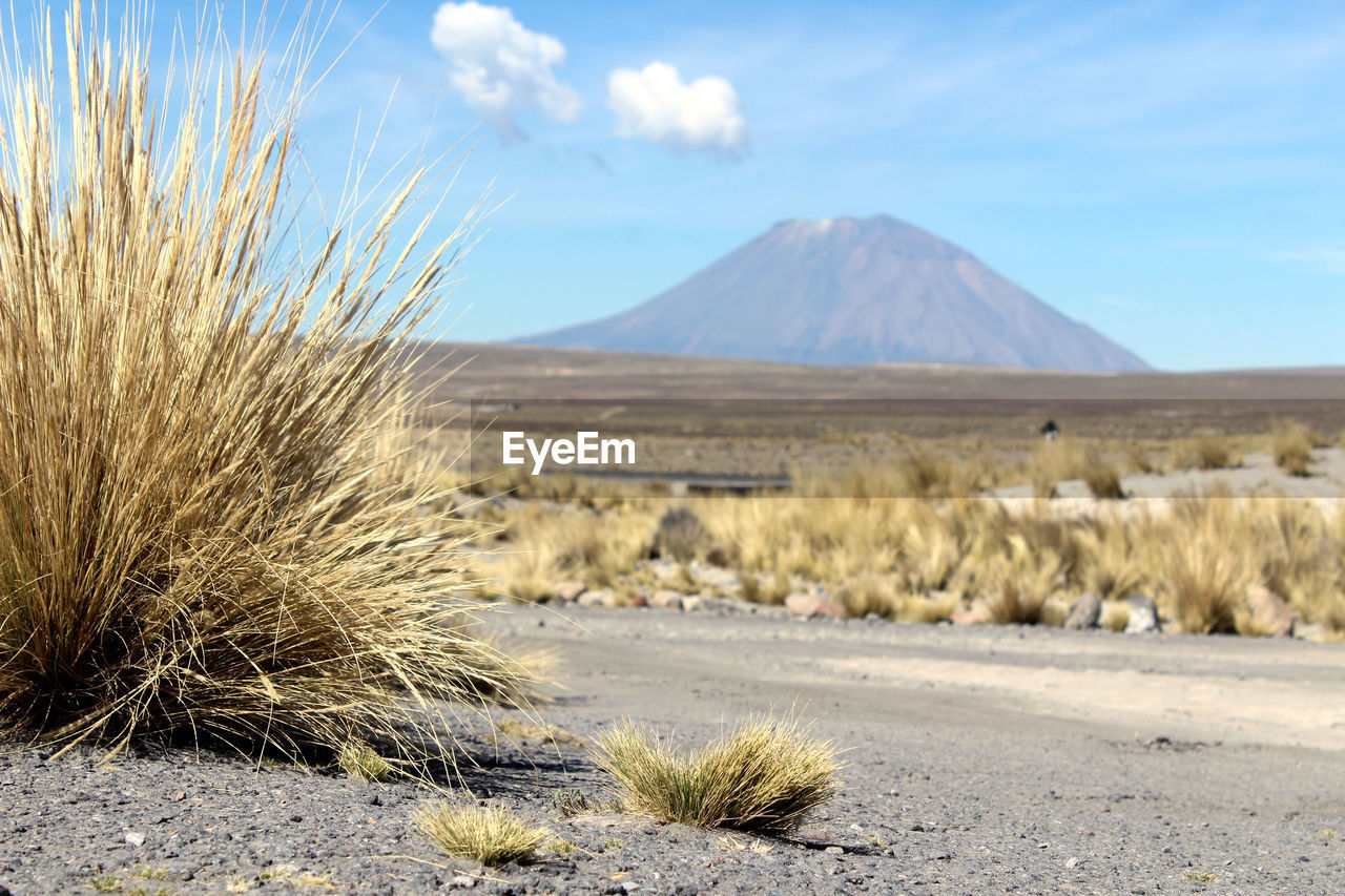 Scenic view of desert against sky