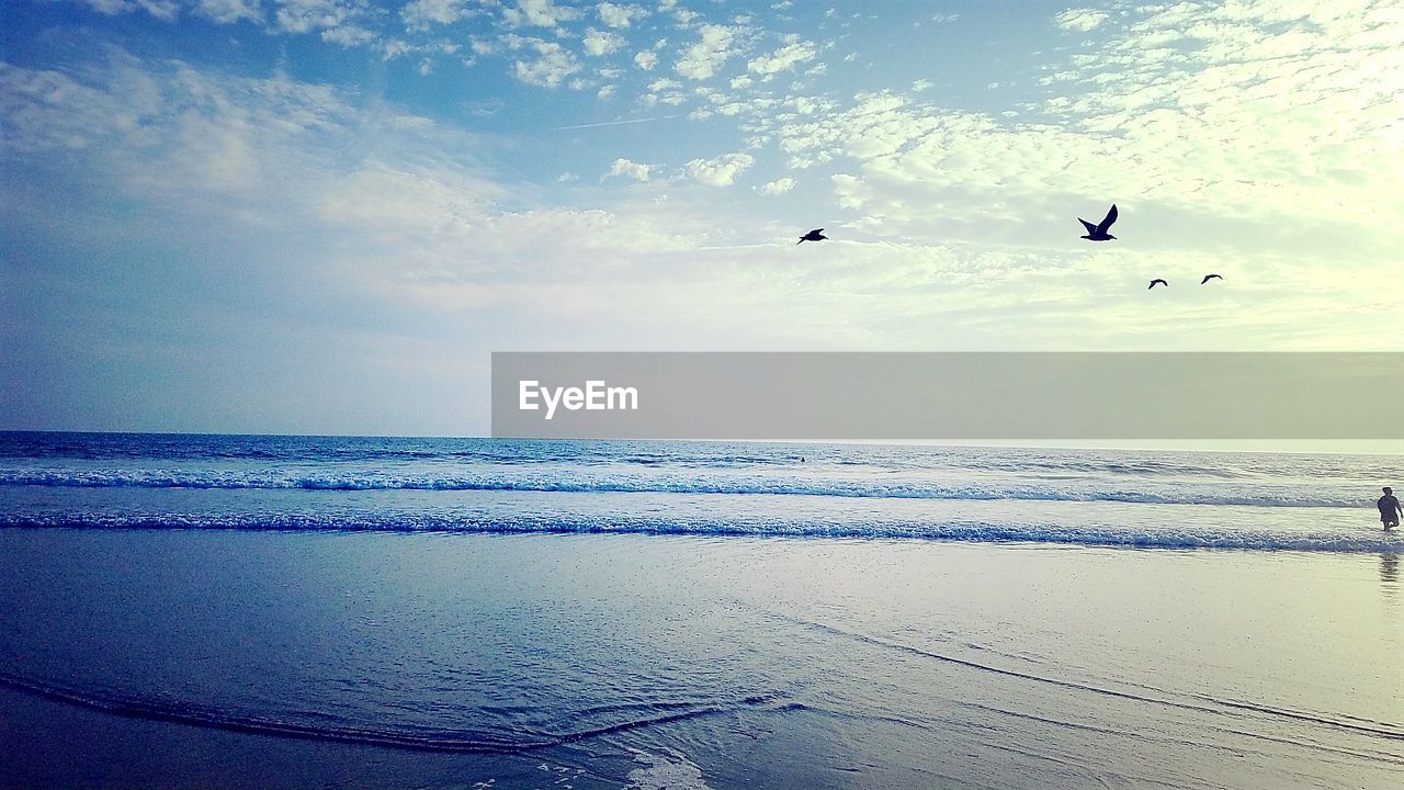 FLOCK OF BIRDS FLYING OVER SEA AGAINST SKY