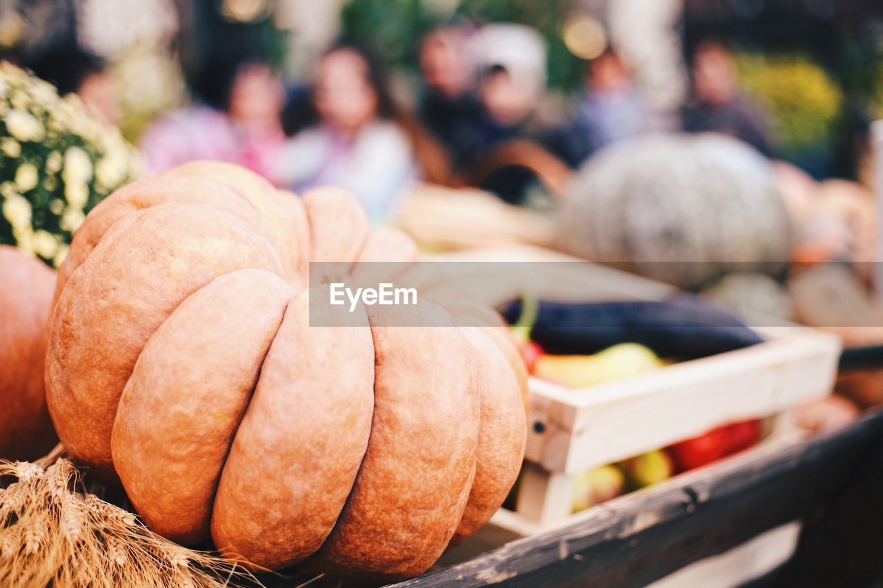 Close-up of pumpkins in market