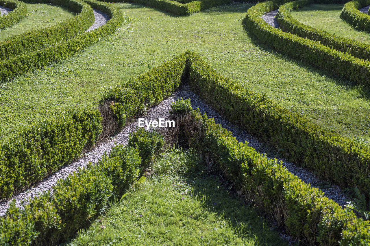 High angle view of agricultural field