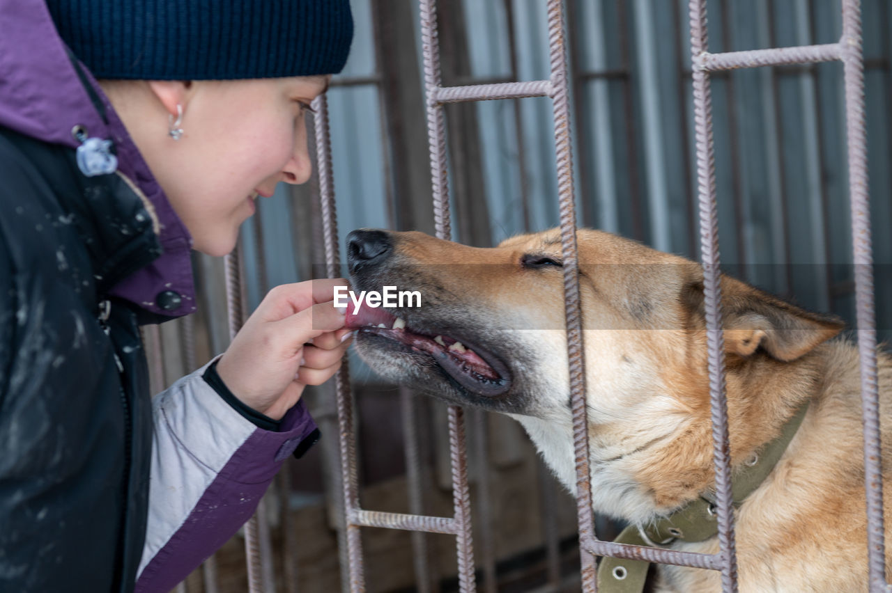 Girl volunteer in the nursery for dogs. shelter for stray dogs.