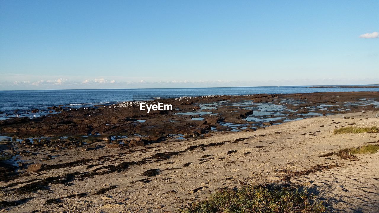 Scenic view of beach against clear sky