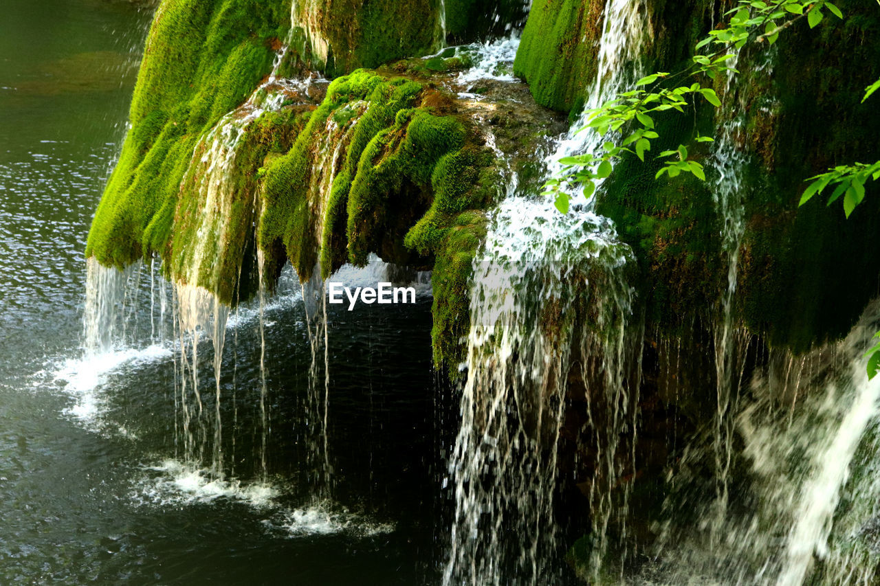 WATERFALL IN FOREST