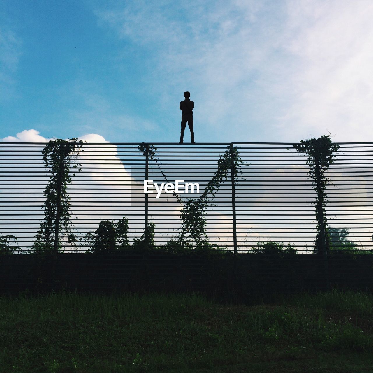 Silhouette person standing on fence