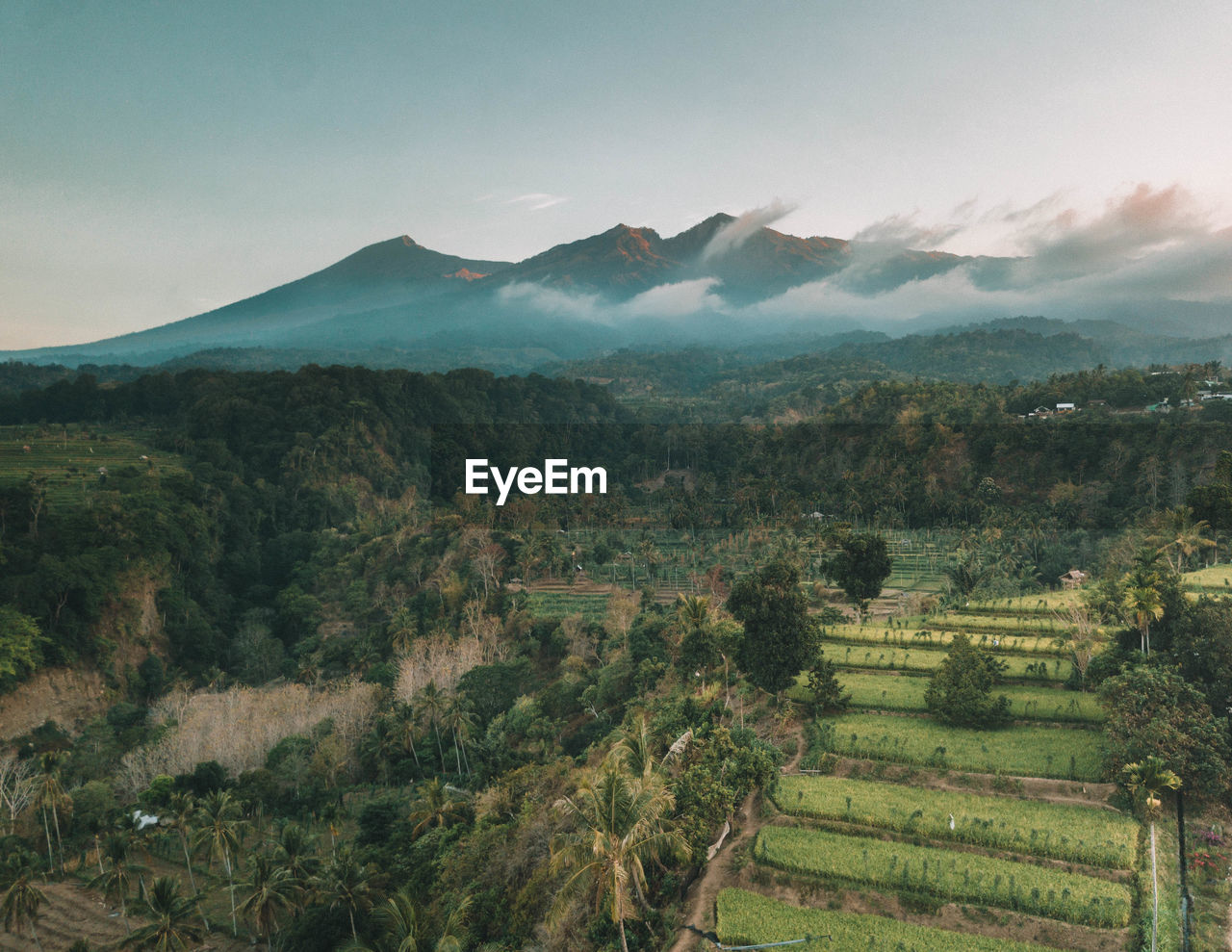 Scenic view of landscape and mountains against sky