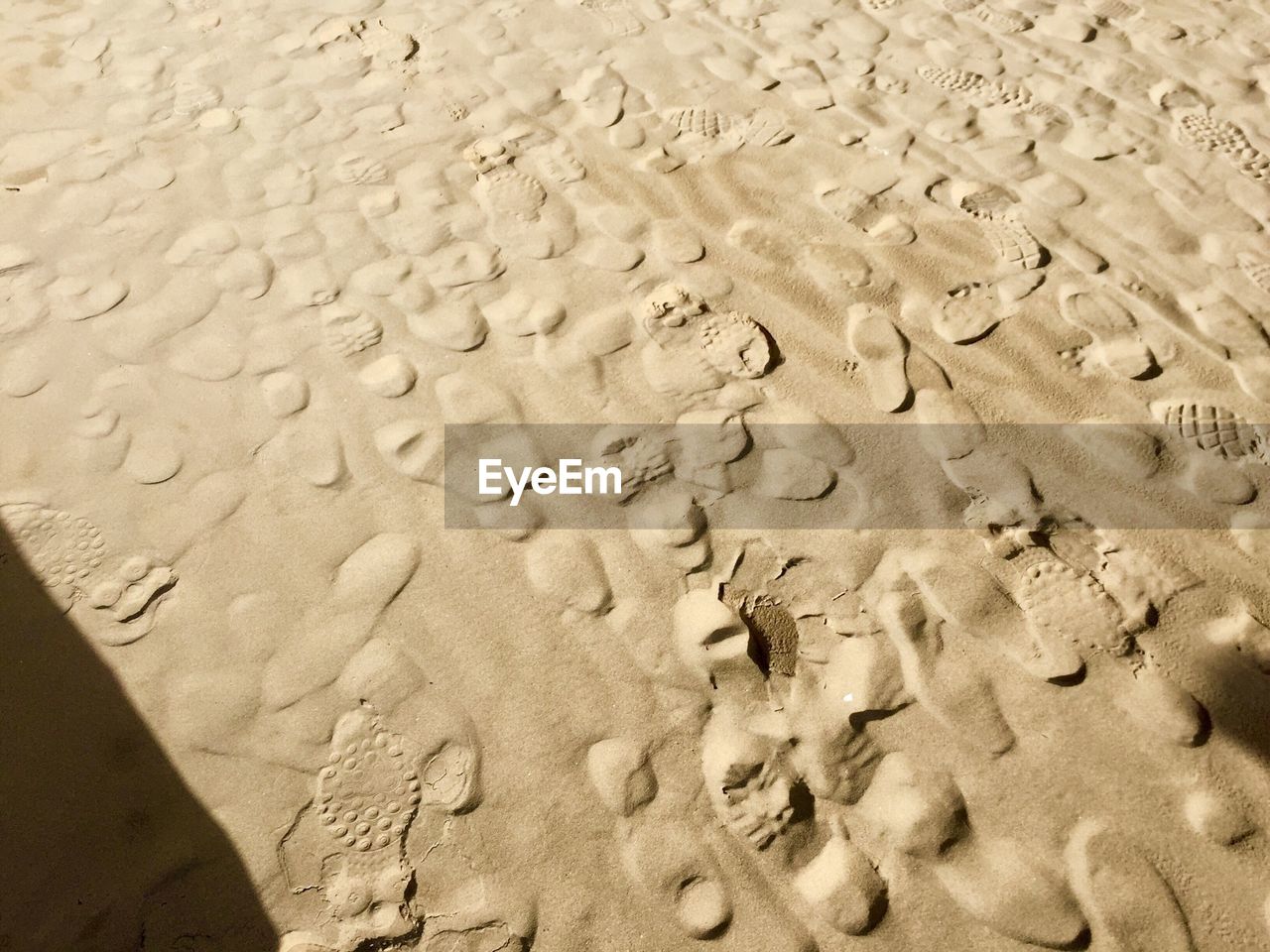 Footprints in sand on beach