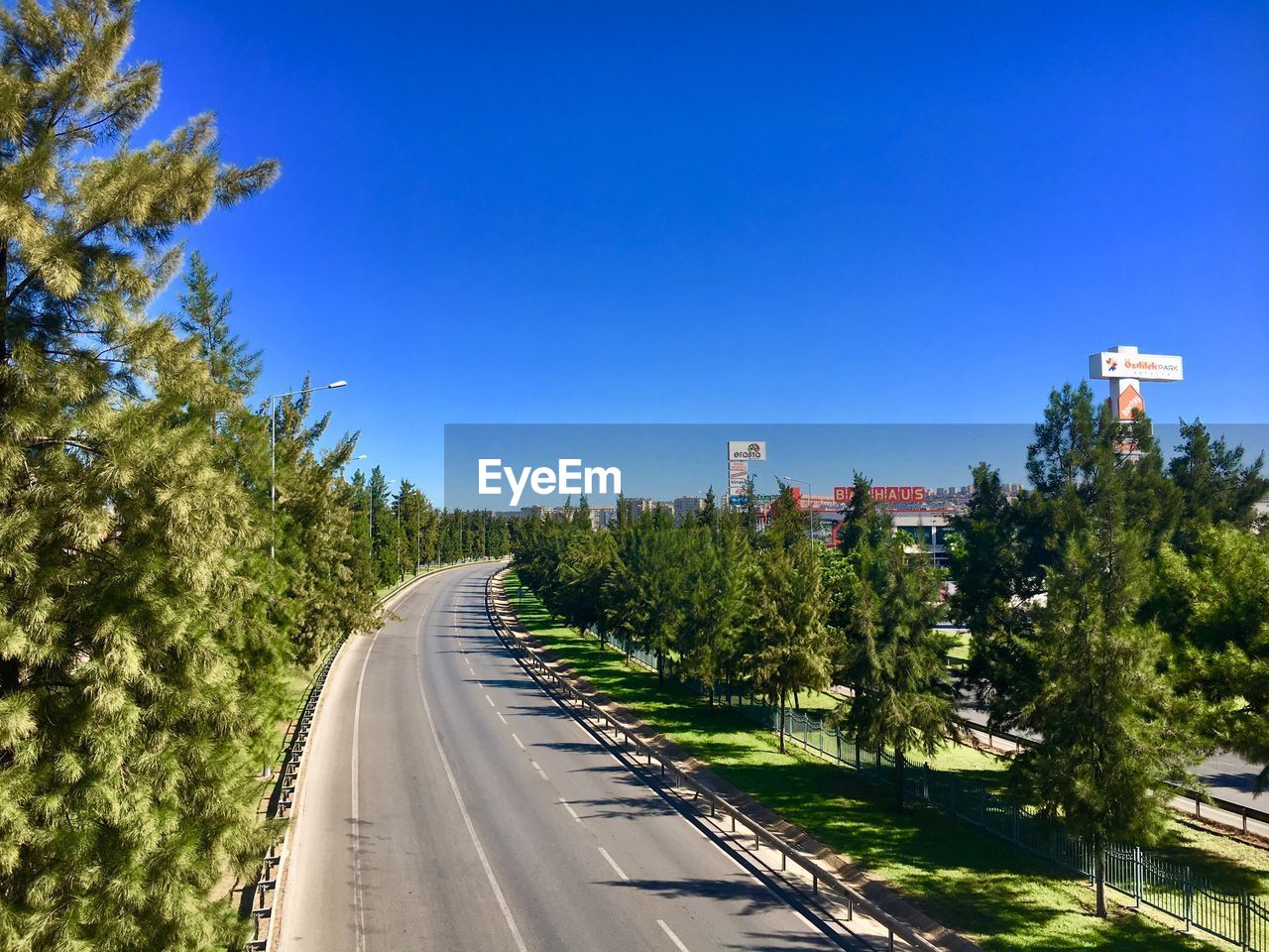 ROAD AMIDST PLANTS AND TREES AGAINST SKY