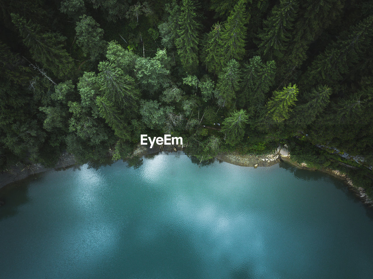 Aerial drone view of blue lakes and green forests. beautiful summer panorama. national park