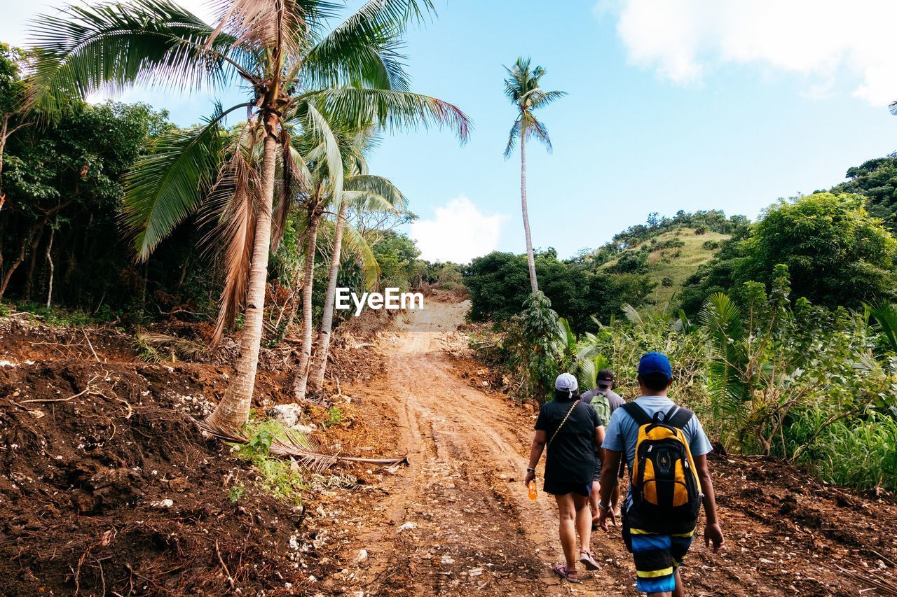 REAR VIEW OF PEOPLE WALKING ON PALM TREES ON LAND