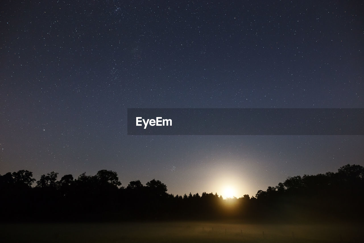 SCENIC VIEW OF SILHOUETTE TREES AGAINST STAR FIELD AGAINST SKY