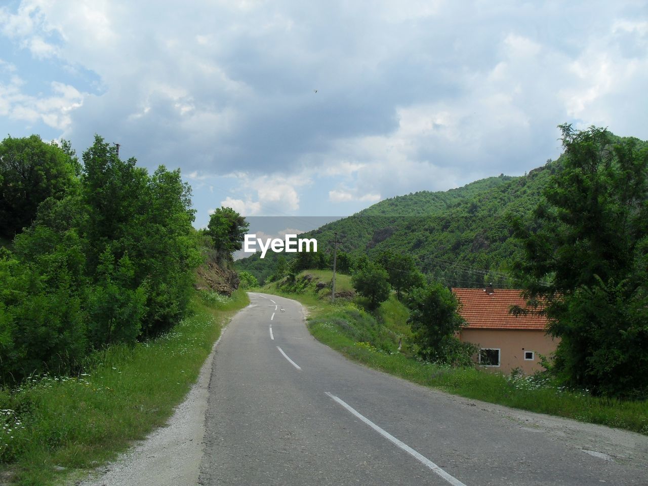 ROAD BY TREES AGAINST SKY