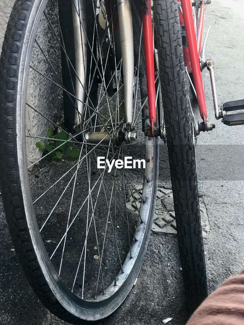 LOW SECTION OF PEOPLE ON BICYCLE BY ROAD