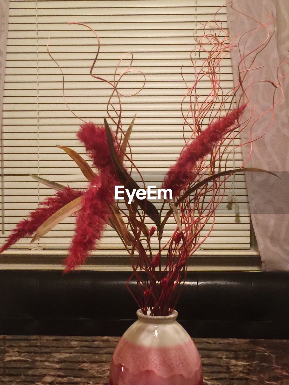 CLOSE-UP OF RED FLOWER PLANT