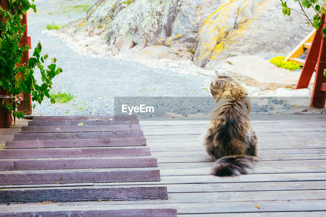 WOODEN BOARDWALK