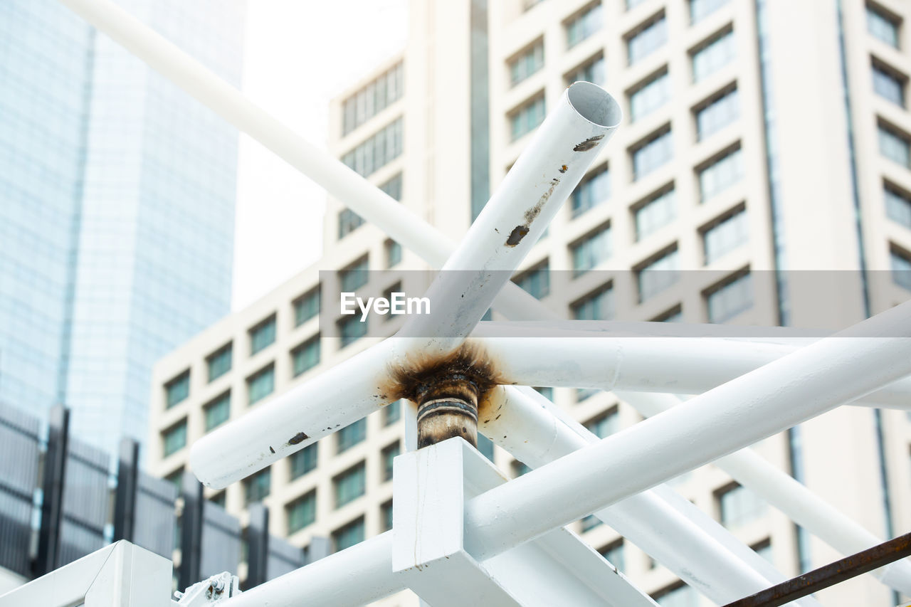 LOW ANGLE VIEW OF A BIRD ON BUILDING