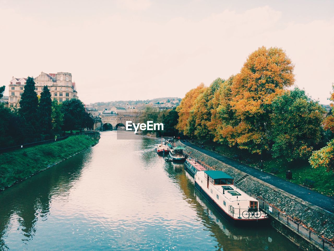 Scenic view of river by trees against sky