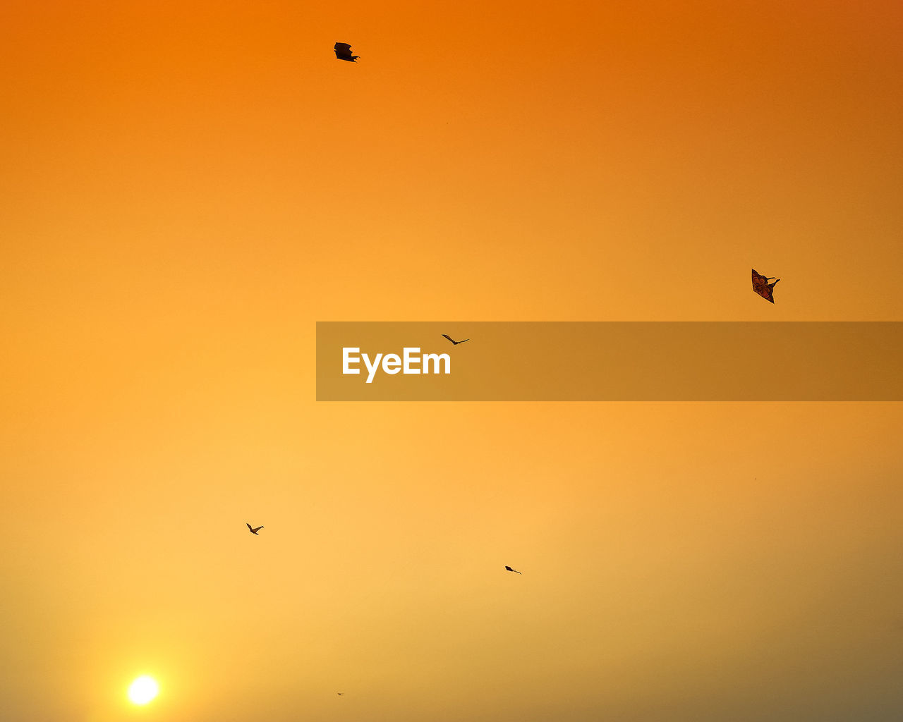 Low angle view of silhouette birds flying against sky during sunset