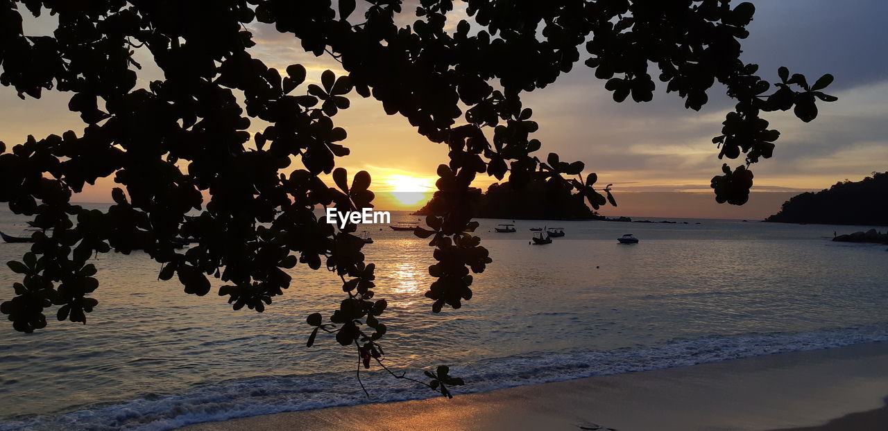 SILHOUETTE TREES BY SEA AGAINST SKY DURING SUNSET