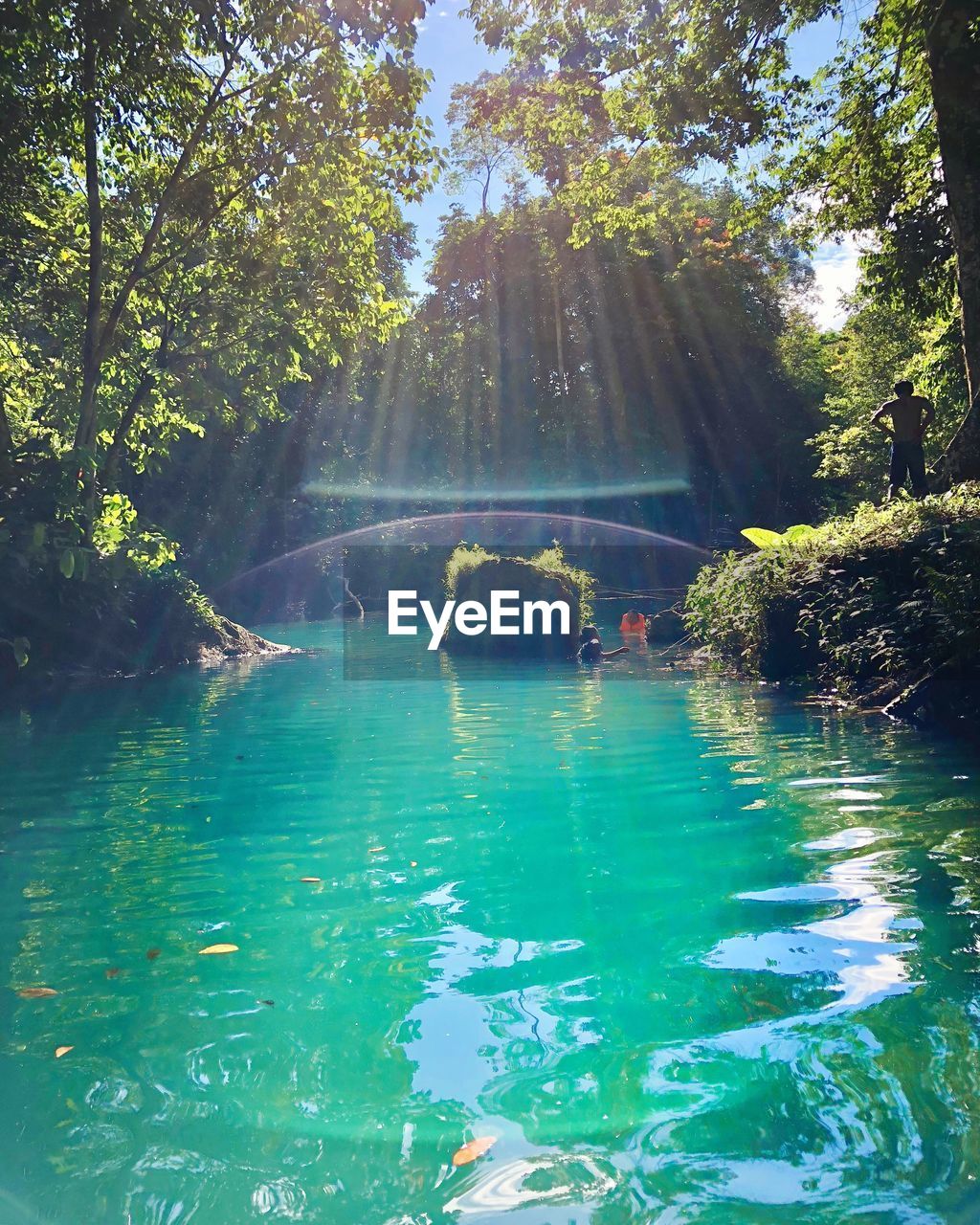 SCENIC VIEW OF WATER FLOWING IN FOREST