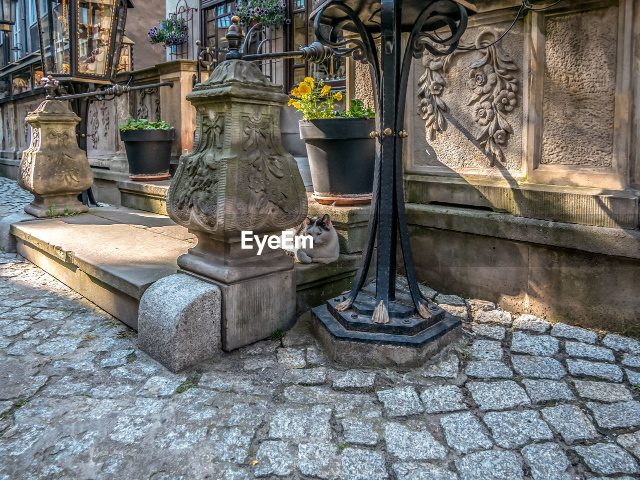 SCULPTURE OF FOUNTAIN