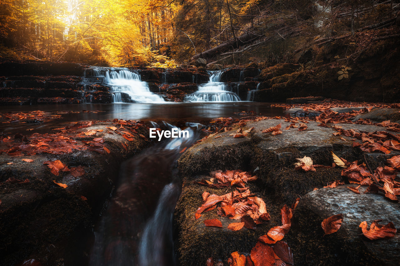 VIEW OF WATERFALL IN AUTUMN